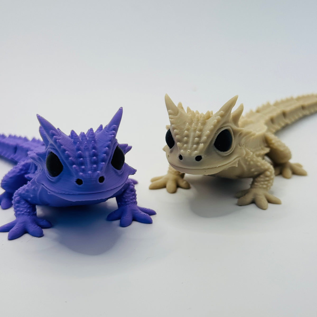 Horned Lizard